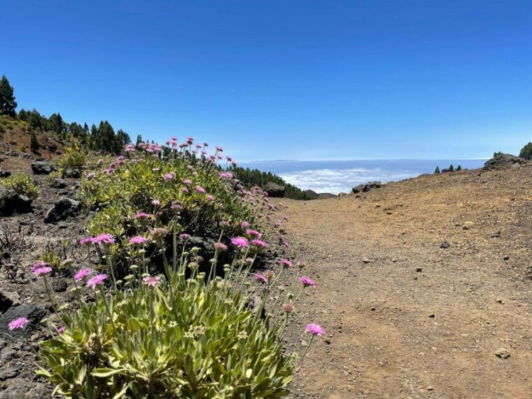 la-palma-guided-trekking-tour-to-volcanoes-south