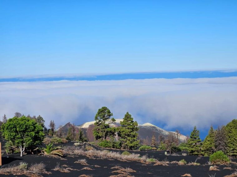 la-palma-tour-to-the-new-tajogaite-volcano-360o