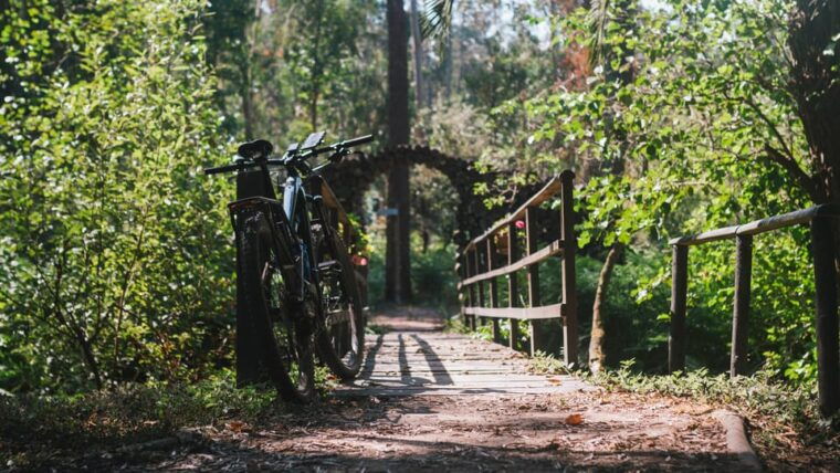 lagoa-da-ervedeira-e-bike-and-stand-up-paddle-tour