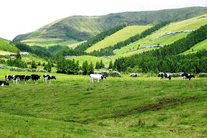 lagoa-do-fogo-private-scenic-walking-tour