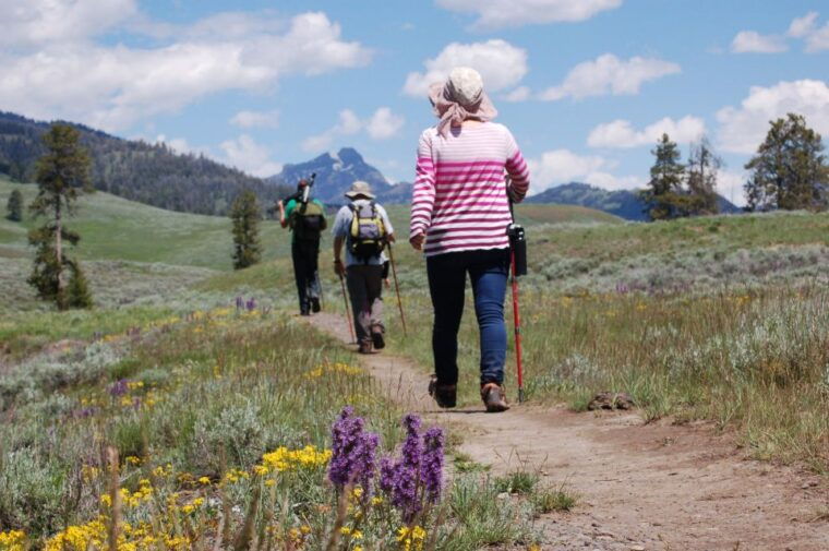 lamar-valley-safari-hiking-tour-with-lunch