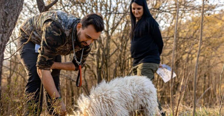 langhe-sunset-truffle-hunting-with-tasting-and-wine