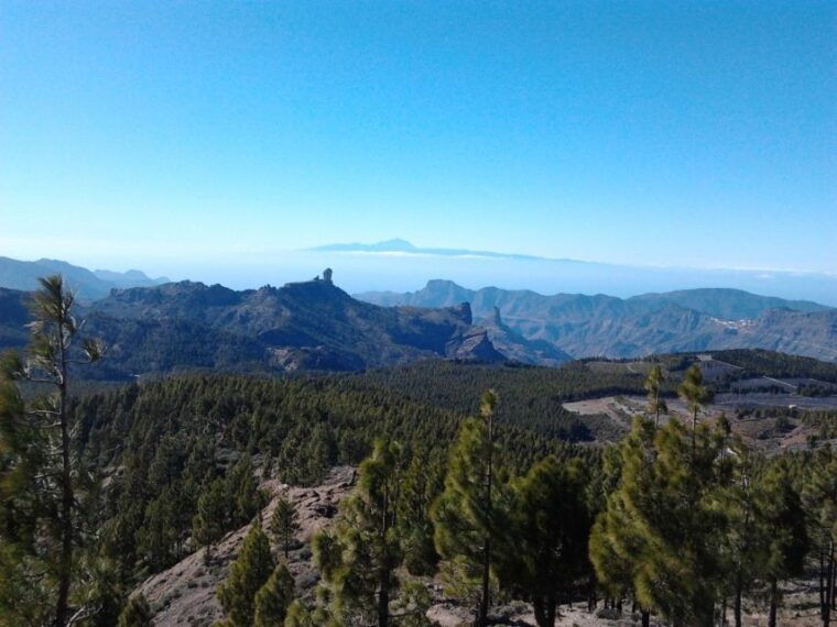 las-palmas-8-hour-gran-canaria-island-highlights-tour