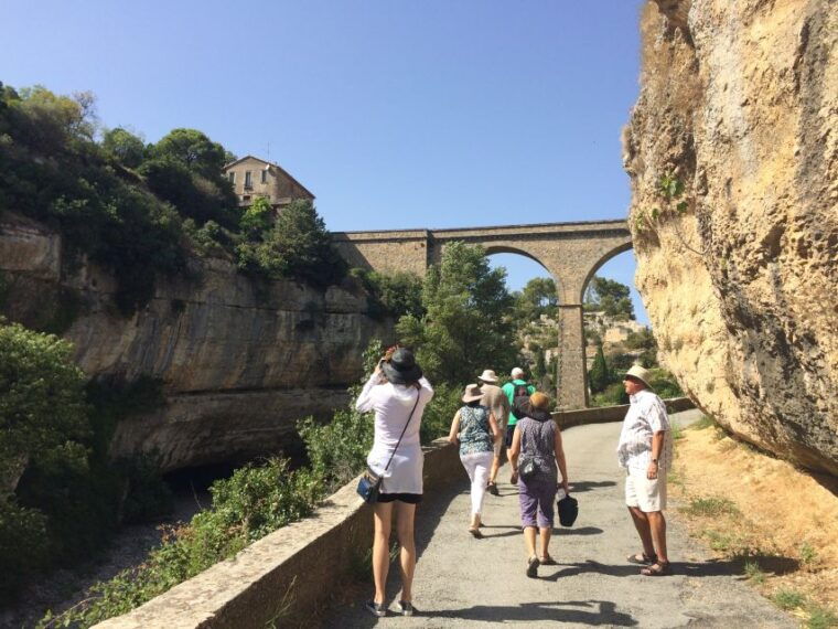lastours-vineyard-minerve-canal-du-midi-from-carcassonne