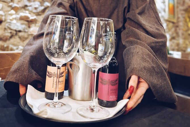 latvian-wine-adventure-discovering-the-best-of-baltic-wines