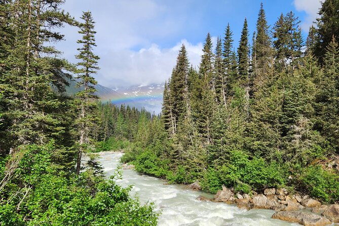 laughton-glacier-hike-and-white-pass-rail-adventure