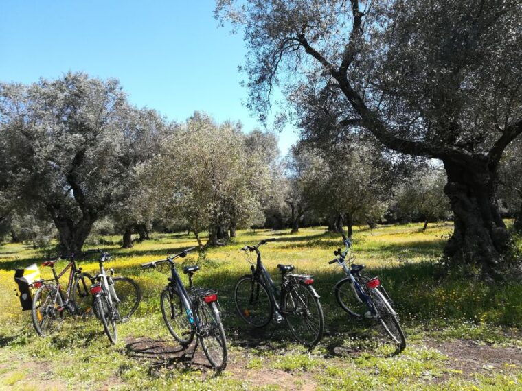 lecce-bike-rental-city-trekking-e-bikes