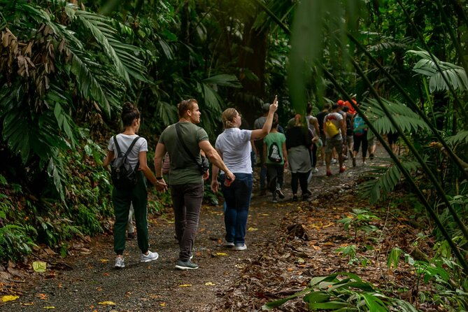 limon-rainforest-hanging-bridges-skywalk-tour-tortuguero-canals