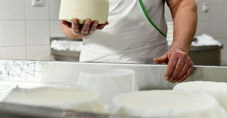 lisbon-azeitao-cheese-workshop-with-wine-food-tasting