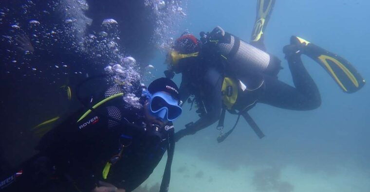 lisbon-try-dive-in-arrabida-marine-reserve-setubal-sesimbra