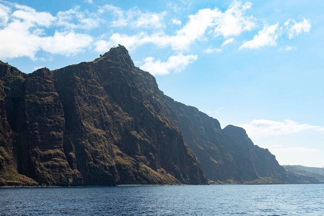 living-sea-boat-trip-in-madeira-from-funchal