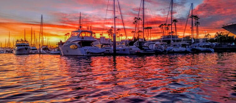 los-angeles-luxury-cruise-w-wine-gourmet-cheese-sealions