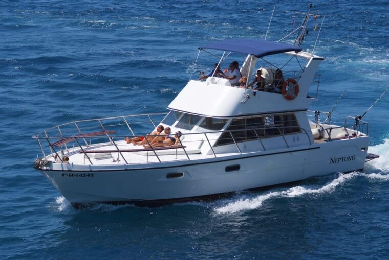 los-cristianos-whale-watching-tour-and-swimming-in-the-sea-on-a-yacht-for-22-persons