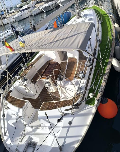 luxury-dolphin-boat-excursions-from-puerto-colon-tenerife