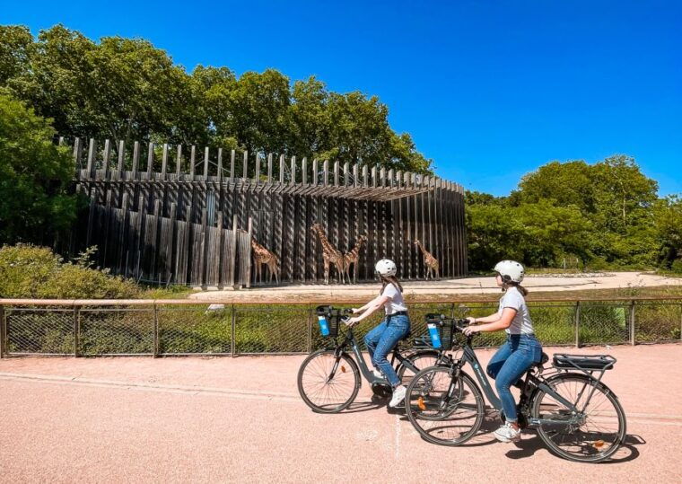 lyon-tete-dor-park-ebike-tour