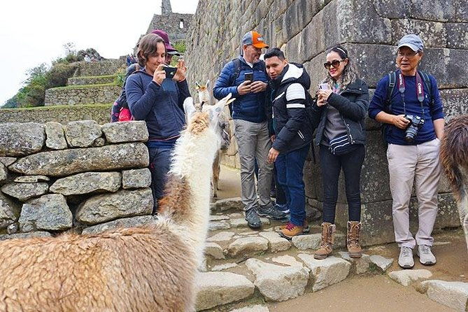 machu-picchu-1-day-tour-luxury-service