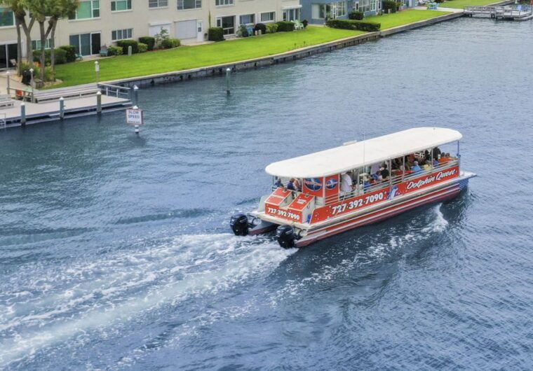 madeira-beach-guided-dolphin-watching-eco-friendly-cruise