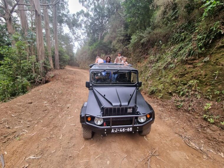 madeira-picturesque-peaks-and-skywalk-private-4x4-jeep-tour