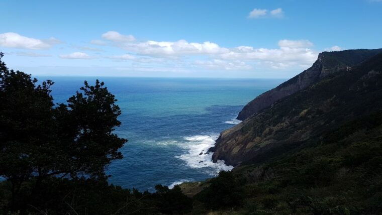 madeira-private-vereda-do-larano-hike