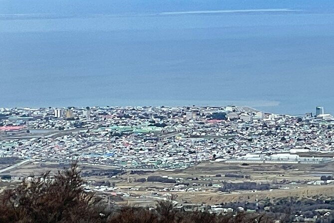 magallanes-forest-and-club-andino-tour-from-punta-arenas