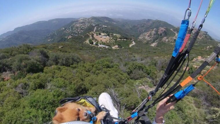 malibu-hills-to-beach-tandem-paragliding-flight-adventure