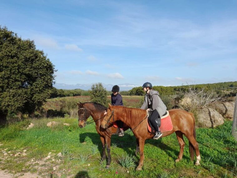 mallorca-activity-with-horses-antique-mallorca