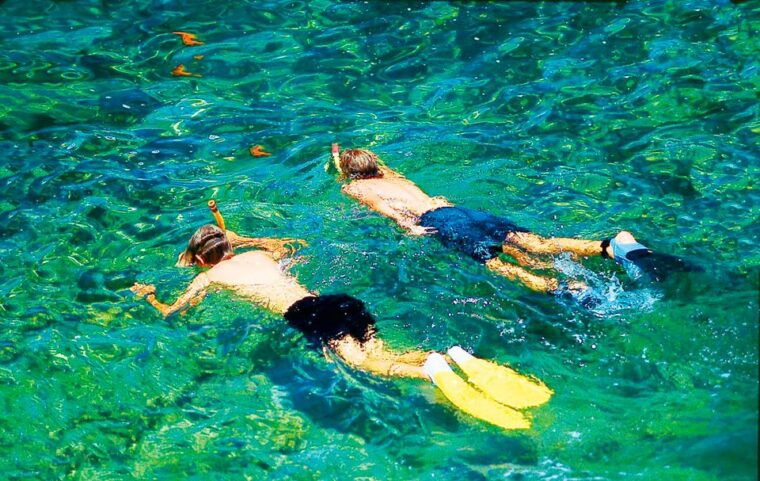 mallorca-dolphin-watching-cruise