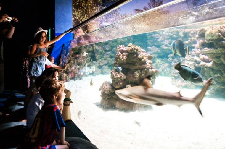 mallorca-palma-aquarium-entry-ticket-w-optional-3d-cinema
