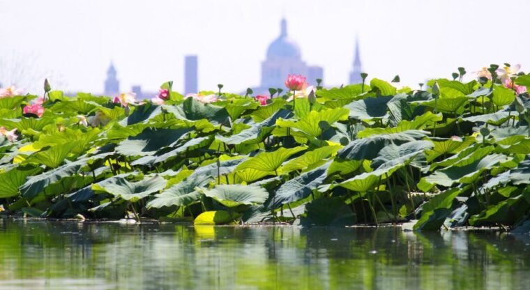 mantova-city-center-and-ducal-palace-3-hour-guided-tour