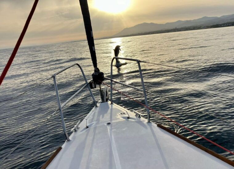 marbella-dolphin-watching-sailboat-trip-with-drinks-snacks