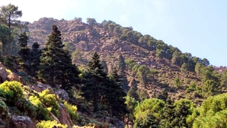 marbella-sierra-de-las-nieves-national-park-hiking-day-trip