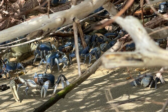 maritime-adventure-bahia-de-cinto-and-playa-cristal-tayrona-park