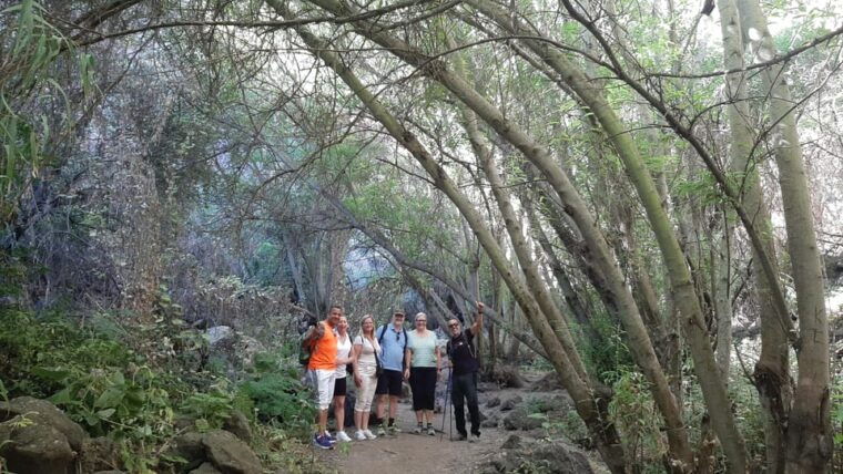 maspalomas-barranco-de-los-cernicalos-rainforest-hike