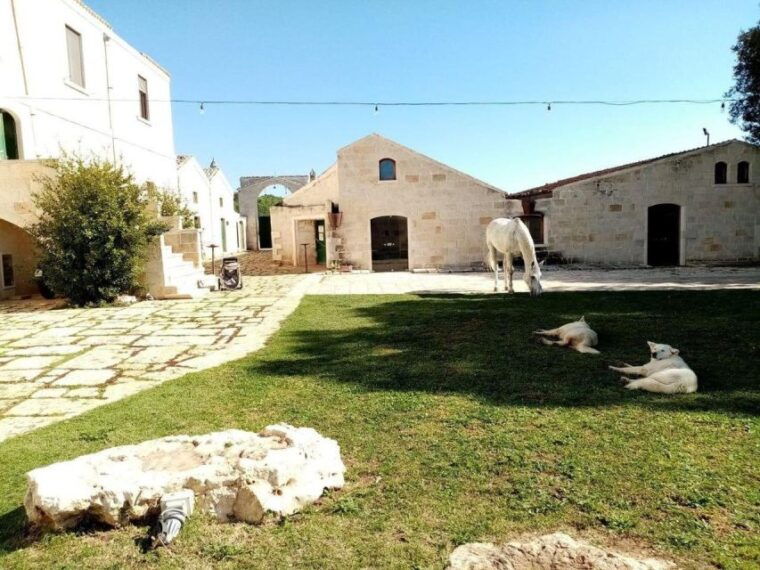 matera-sunset-horseback-riding-tour-on-murgia