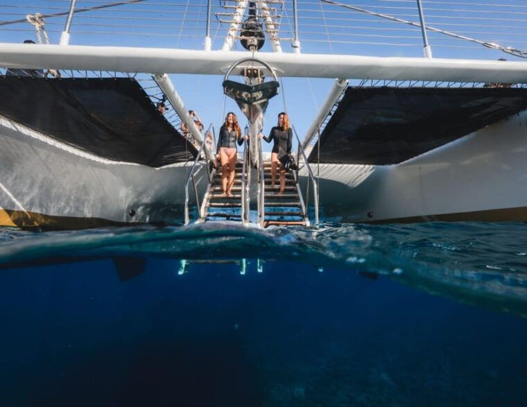 maui-alii-kai-turtles-tacos-snorkel-sail