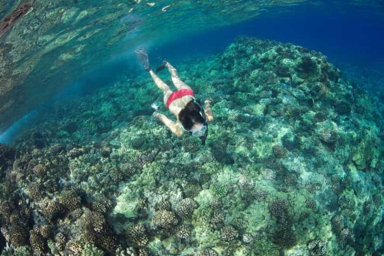 maui-captains-call-afternoon-snorkel-adventure