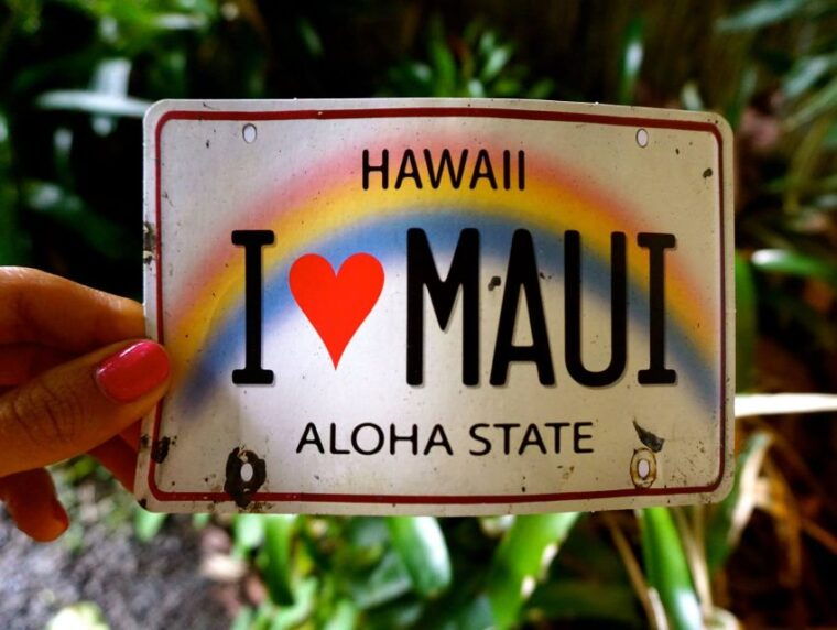 maui-private-guided-round-trip-excursion-to-hana