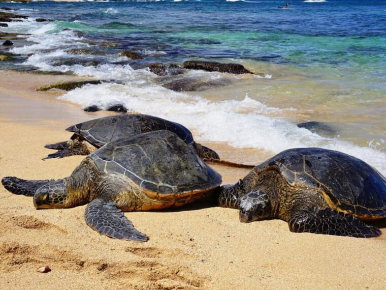 maui-private-island-tour-with-meals-snorkeling