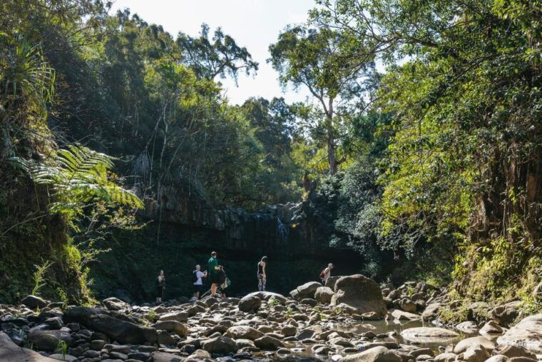 maui-rainforest-waterfalls-guided-hike-with-picnic-lunch