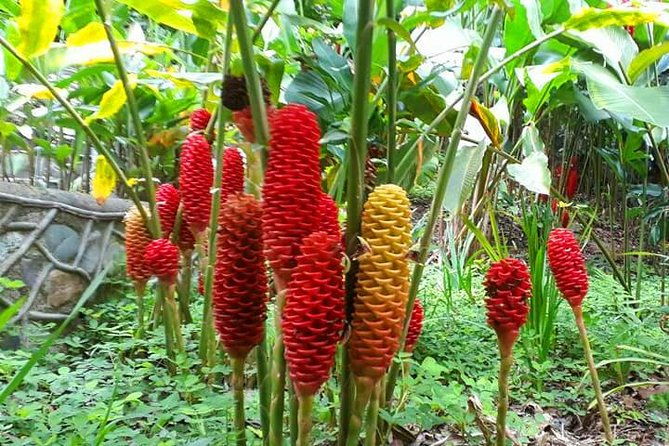 mayan-eden-eco-wildlife-park-city-tour-private-transfer