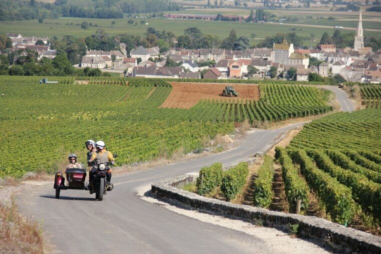 meursault-tour-of-the-vineyards-on-motorbike-with-sidecar