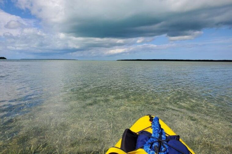 miami-everglades-national-park-hiking-and-kayaking-day-trip