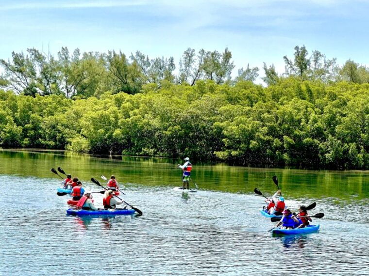 miami-manatee-season-paddleboard-or-kayak-tour