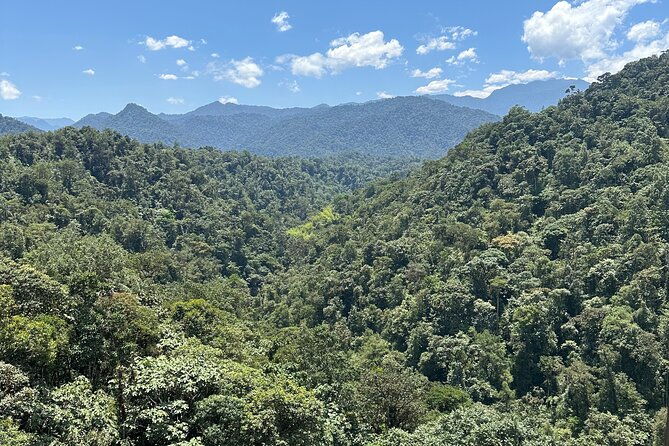 mindo-cloud-forest-guided-tour-small-groups-fee-included