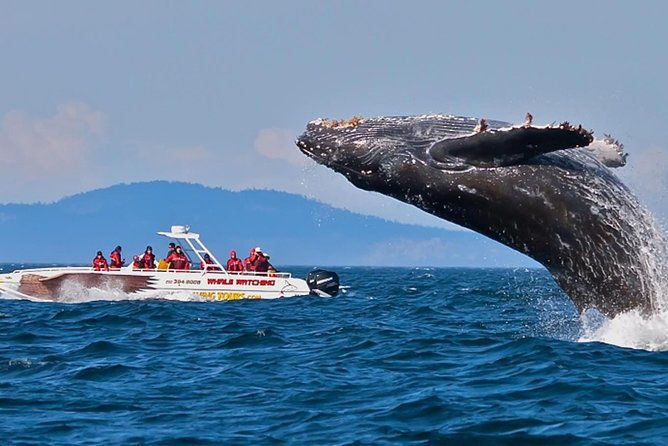 mirissa-whale-watching-stilt-fishing-turtle-tour-from-colombo