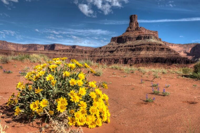 moab-canyonlands-national-park-4x4-white-rim-tour
