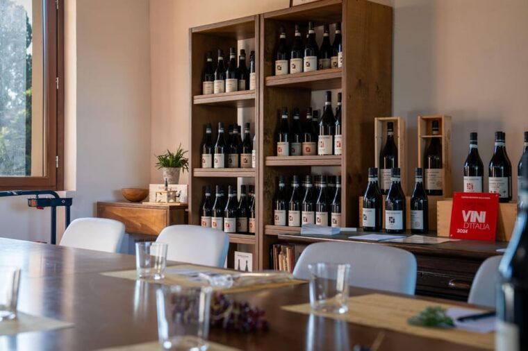 monforte-dalba-tasting-of-iconic-langhe-wines-and-winery-tour