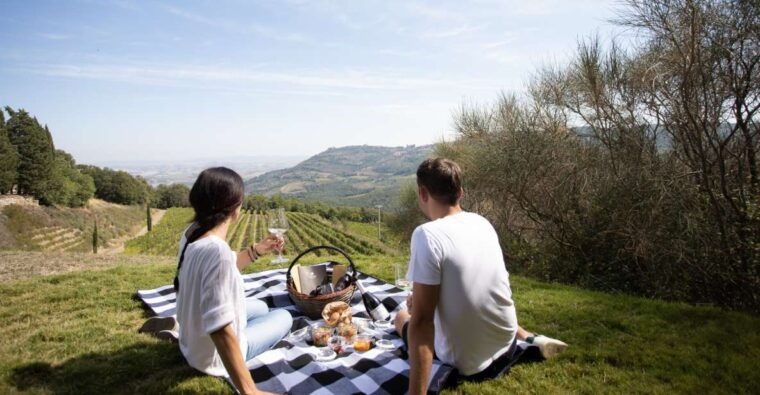 montalcino-vineyard-picnic-with-a-bottle-of-wine