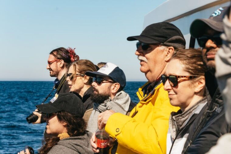 monterey-bay-whale-watching-tour