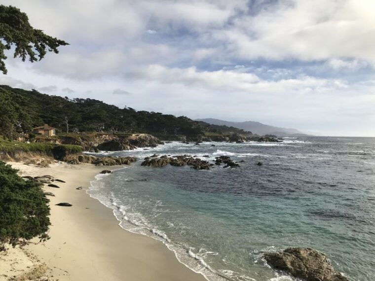 monterey-peninsula-sightseeing-tour-including-17-mile-drive